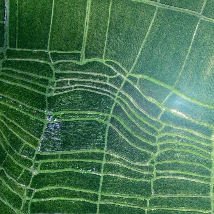 Outdoor terrace seating suitable for families in Rome